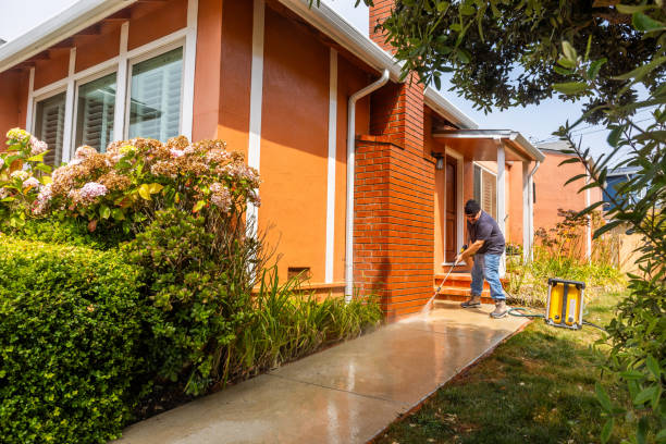 Best Affordable Pressure Washing  in Oswego, NY